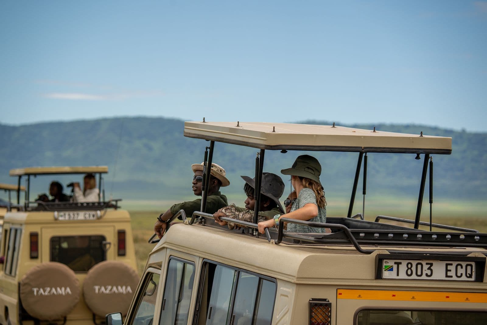 Sustainability with Tazama
