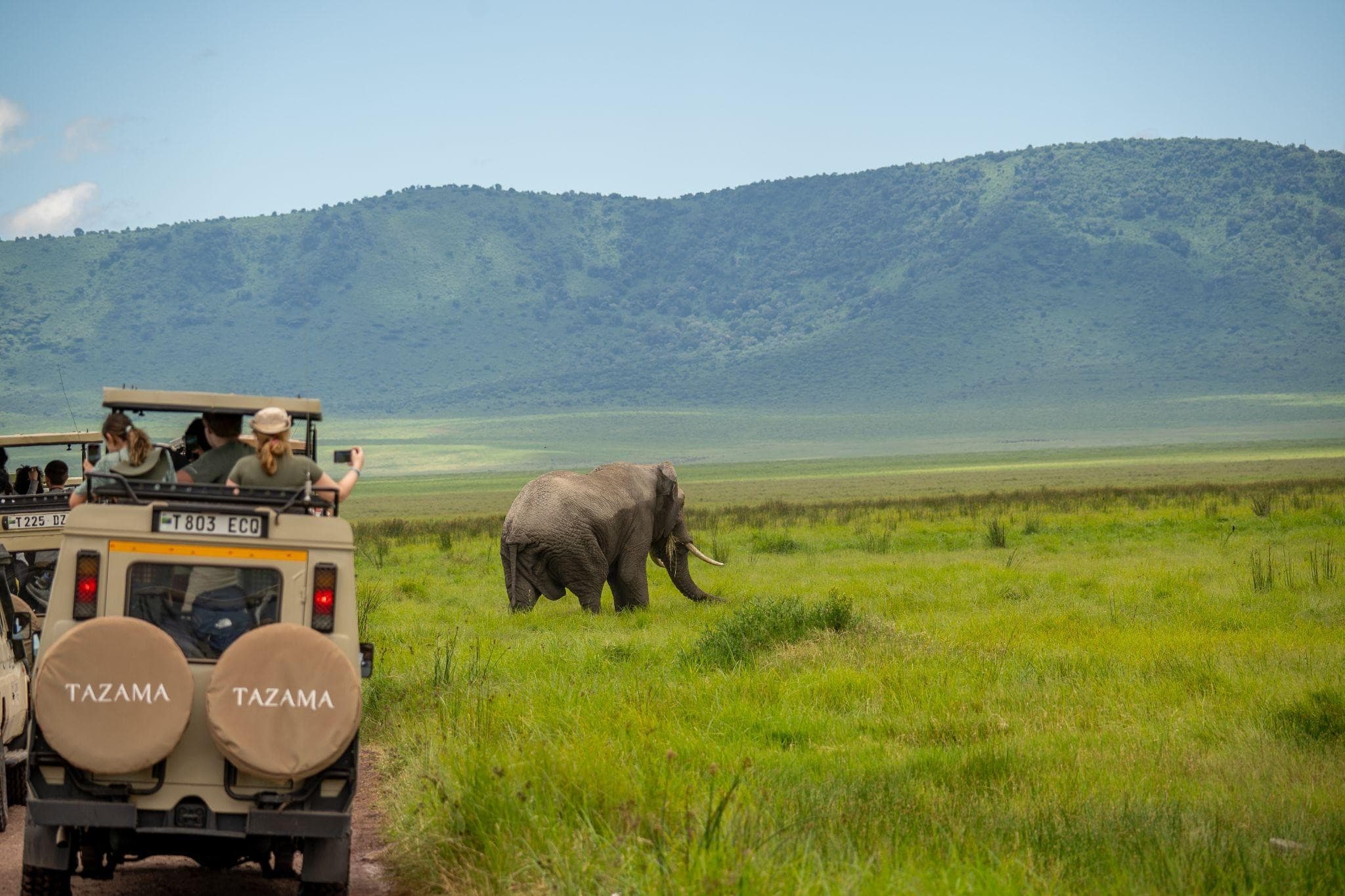Ngorongoro Crater Game Drive