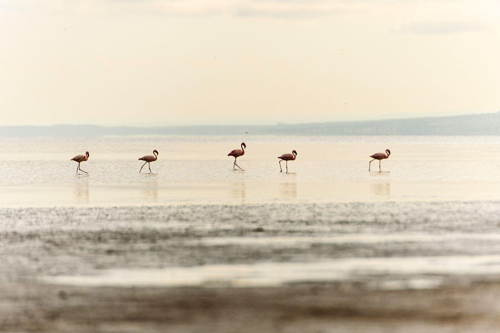 Lake Natron Camp