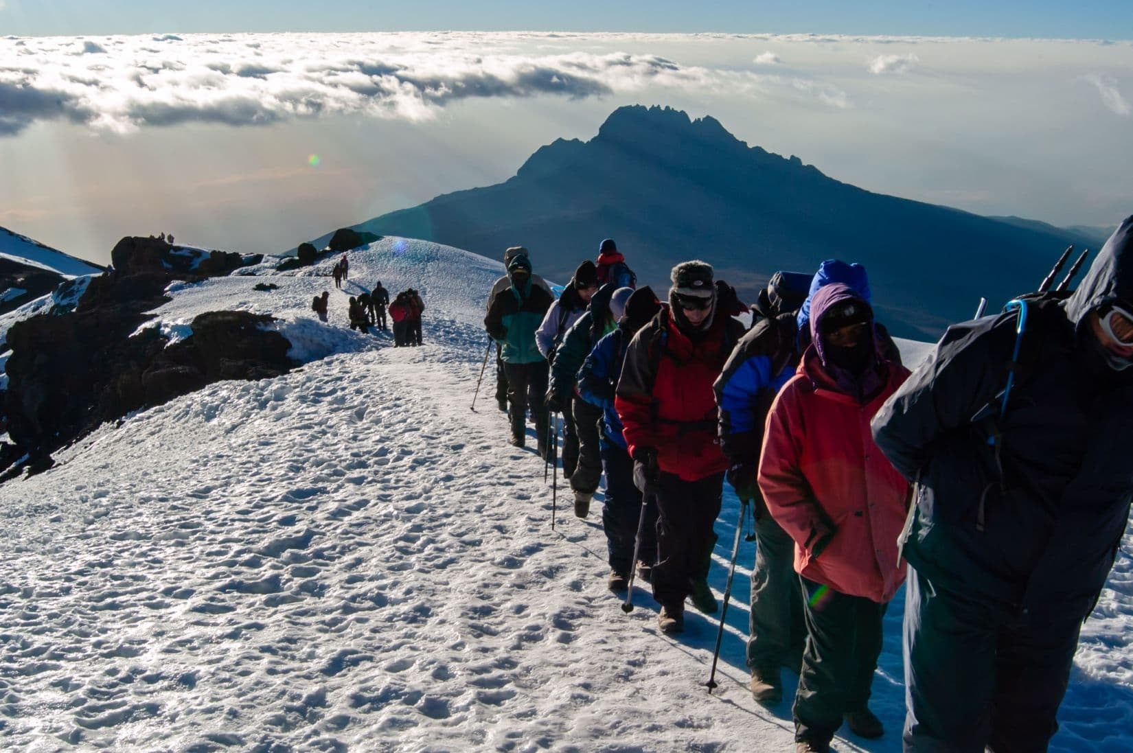 Tazama's diverse climbers