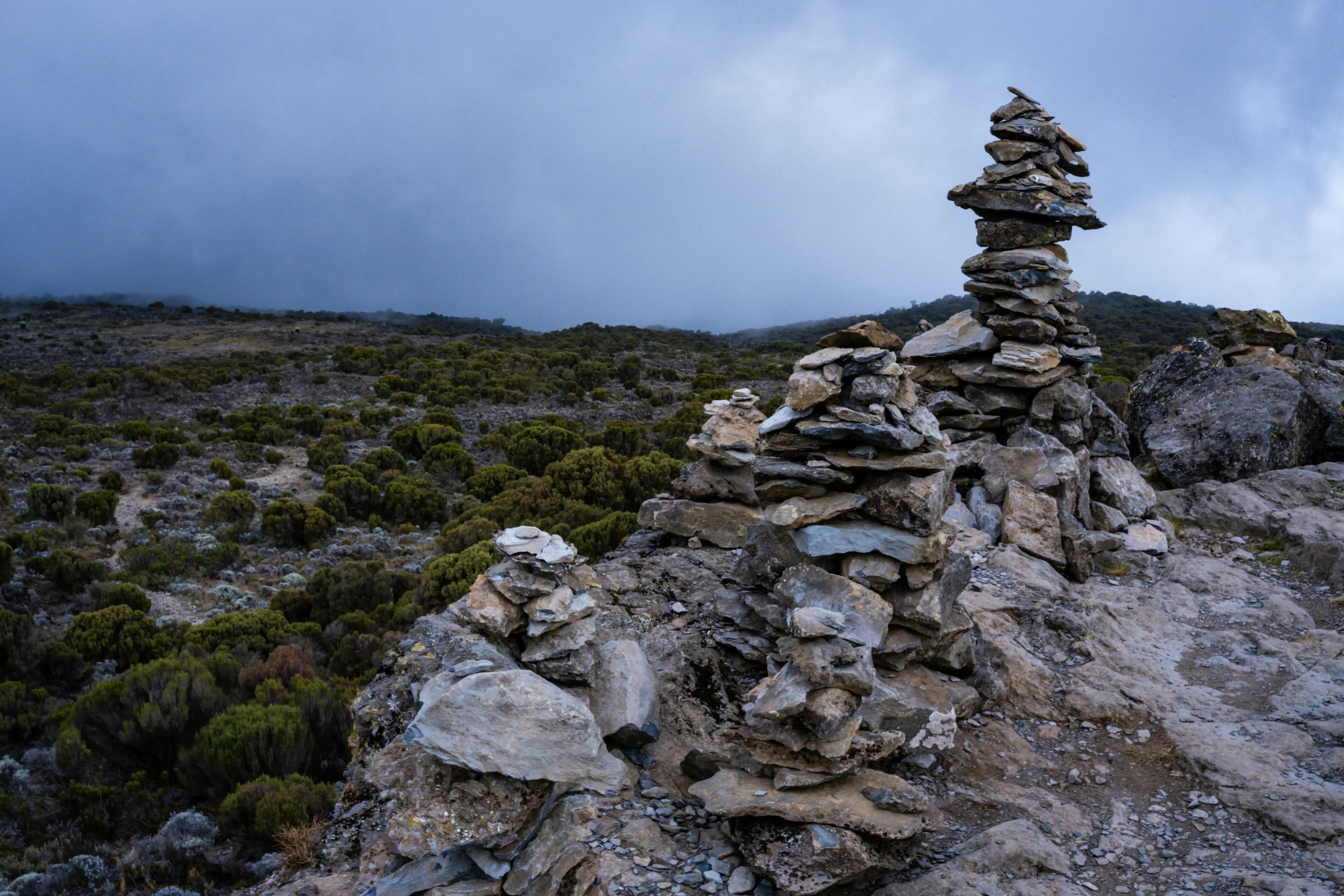 8 Day lemosho climb
