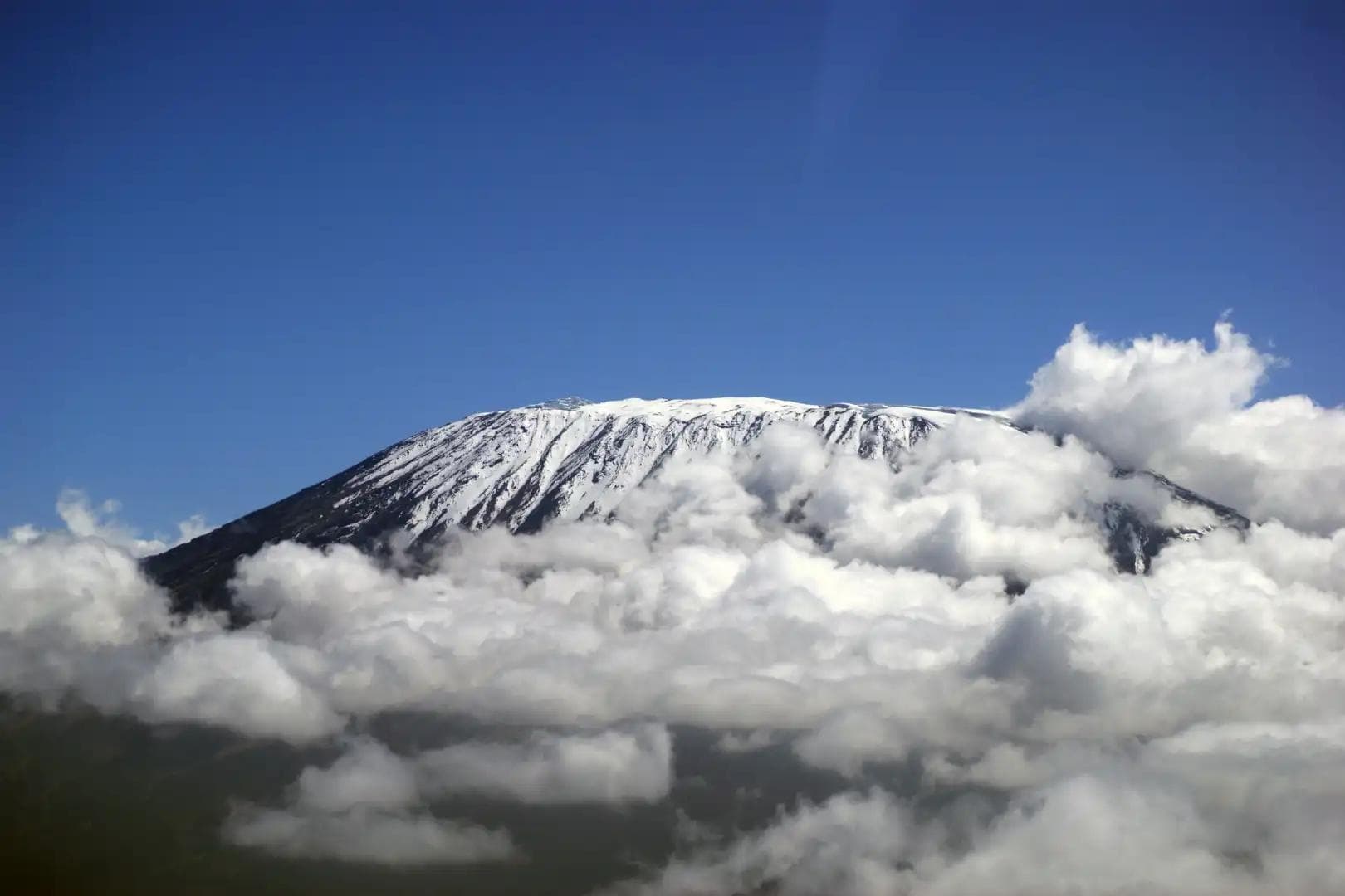 The Lemosho Challenge: A 7-Day Kilimanjaro Trek with Tazama Africa