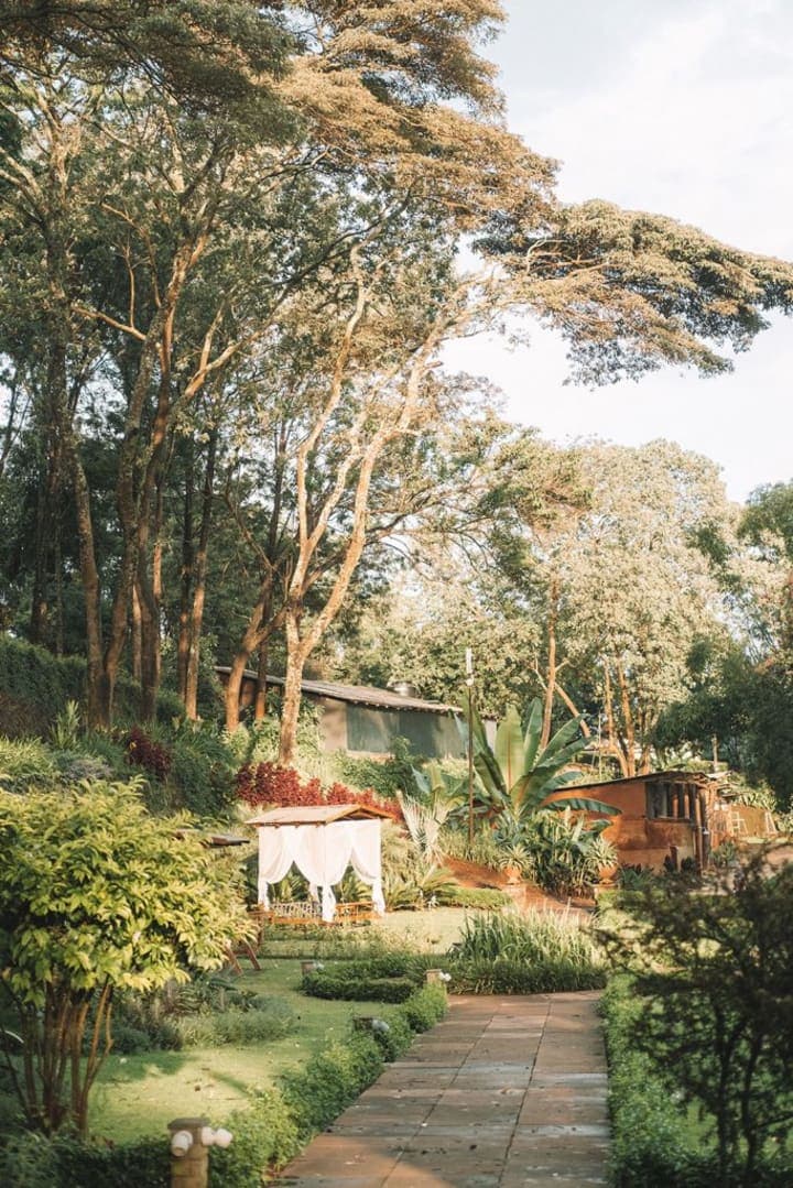tazama gallery photos
