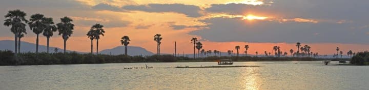 tazama gallery photos