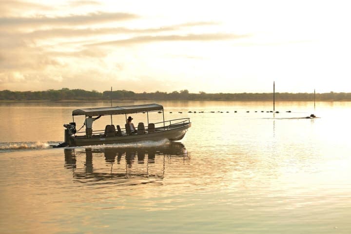 tazama gallery photos