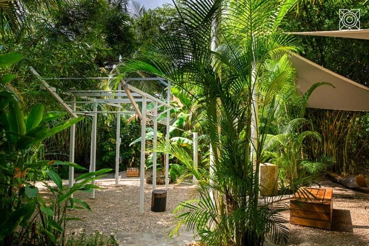tazama gallery photos