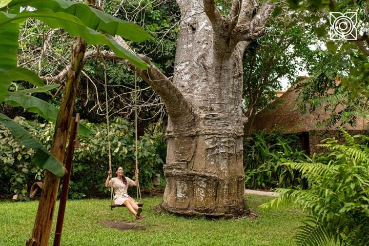 tazama gallery photos