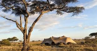 Namiri Plains Image