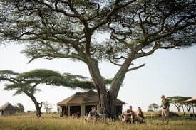 Namiri Plains Image