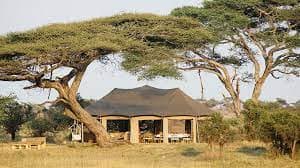 Namiri Plains Image