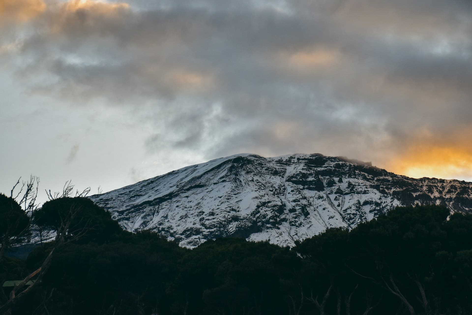 Found out why Tazama's Kilimanjaro trek is the best out there