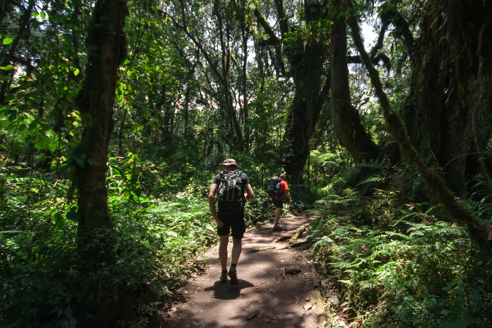 Machame Route