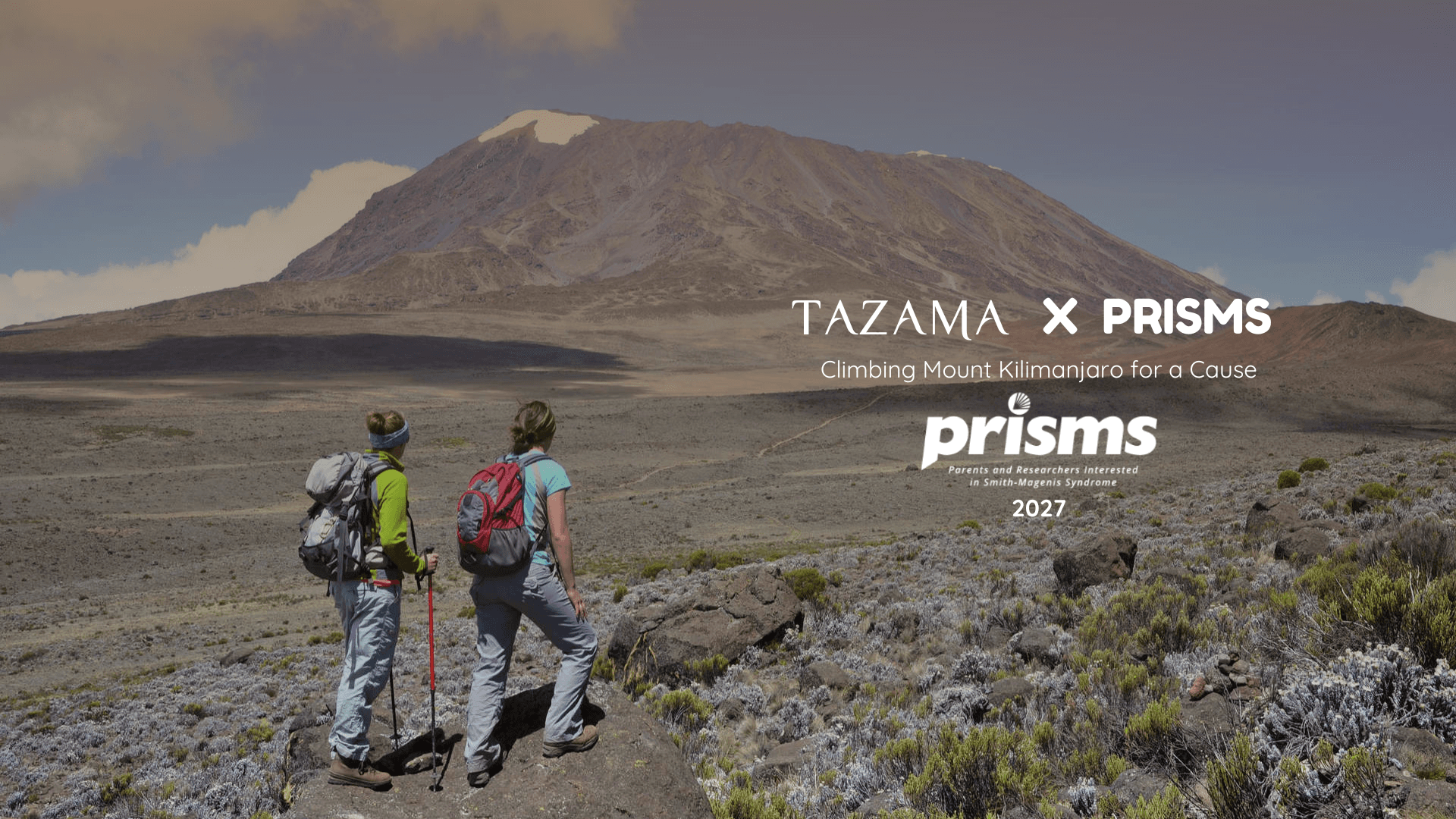 Kilimanjaro Hike